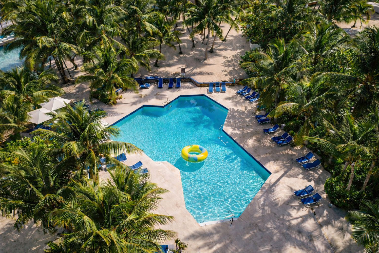 Freshwater pool at Palms Resort & Beach with lounge chairs and palm trees, St. Croix